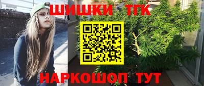 стаф Кулебаки