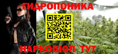 стаф Кулебаки