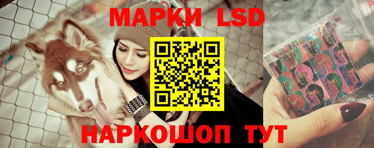 Елец  LSD-25 экстази ecstasy  ЛСД экстази ecstasy  ЛСД экстази  Вход с VPN 