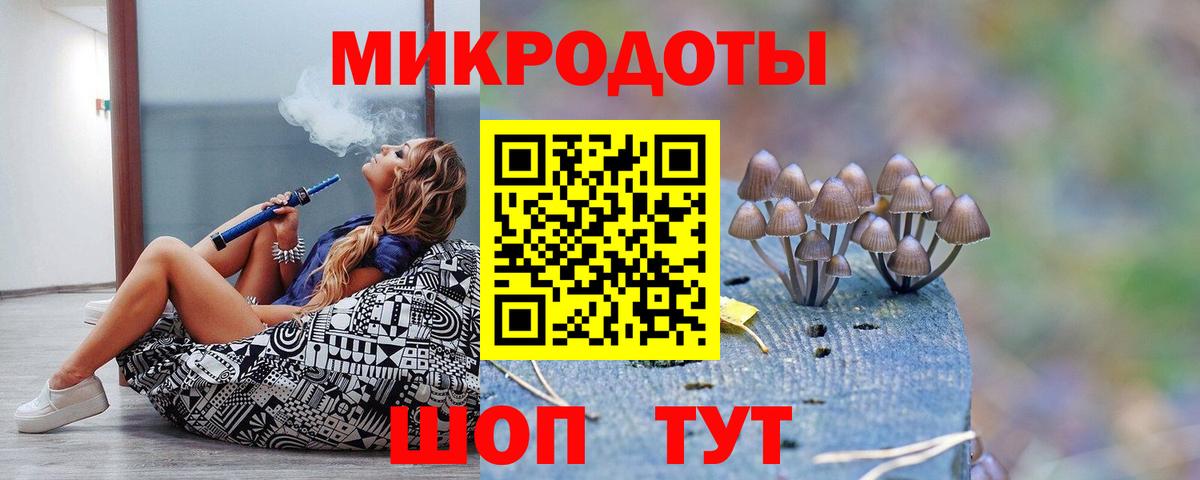 Елец  закладка  Галлюциногенные грибы Cubensis  Вход с VPN  Галлюциногенные грибы мухоморы 