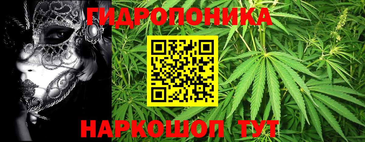 Шишки марихуана ГИДРОПОН  Бошки марихуана AK-47  МАРИХУАНА White Widow  Елец  Марихуана план  Вход с VPN 